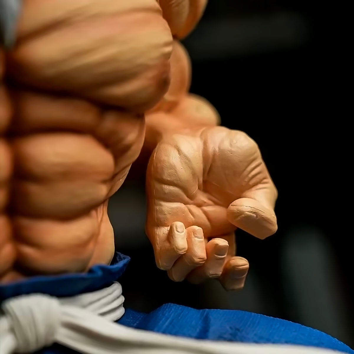 Dragon Ball - DRT013 - Master Roshi Kame Sennin Action Figure Toys Anime DBZ Figuras 25cm Manga Figurine Collection Model Ornaments Gift