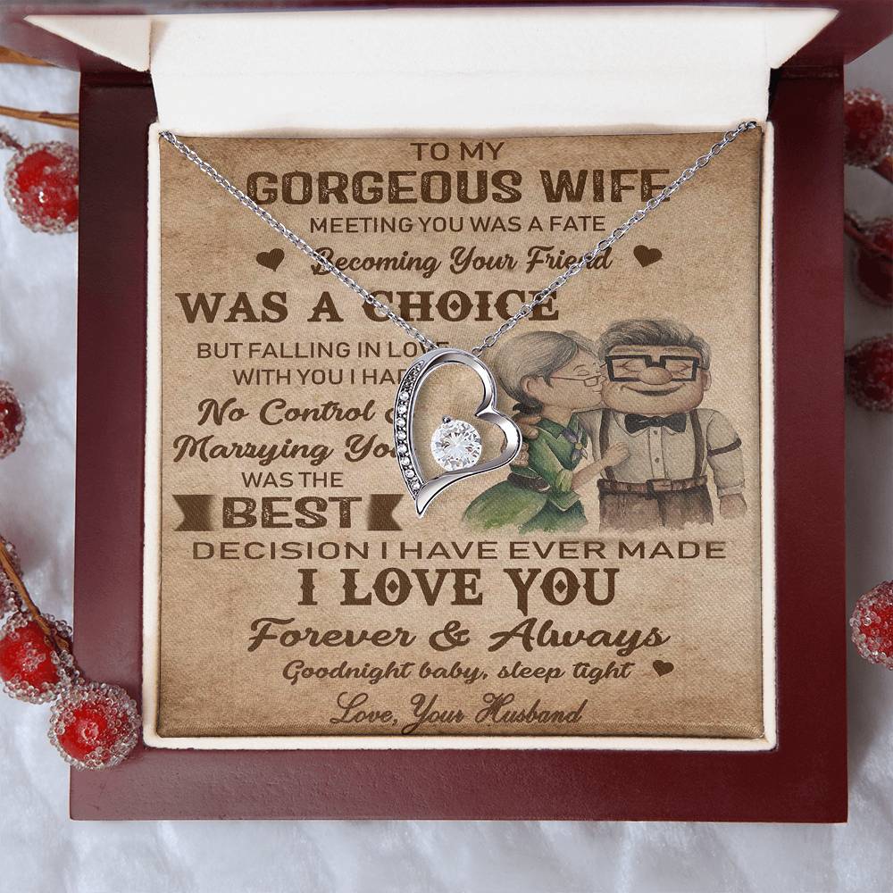 (X9D) TO MY WIFE-MEETING YOU WAS FATE-Carl & Ellie-UP - Family- NECKKLACE