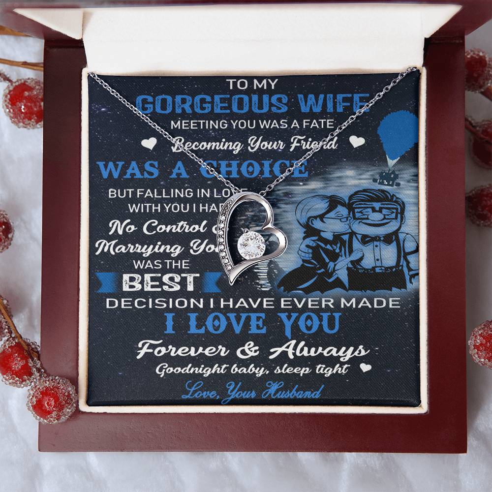 (X9c) TO MY WIFE-MEETING YOU WAS FATE-Carl & Ellie-UP - Family- NECKKLACE