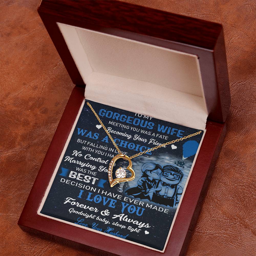 (X9b)Carl & Ellie-UP - TO MY WIFE-MEETING YOU WAS FATE - HEAR NECKLACE