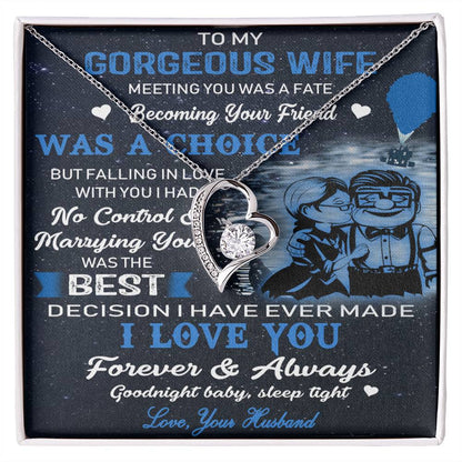 (X9c) TO MY WIFE-MEETING YOU WAS FATE-Carl & Ellie-UP - Family- NECKKLACE