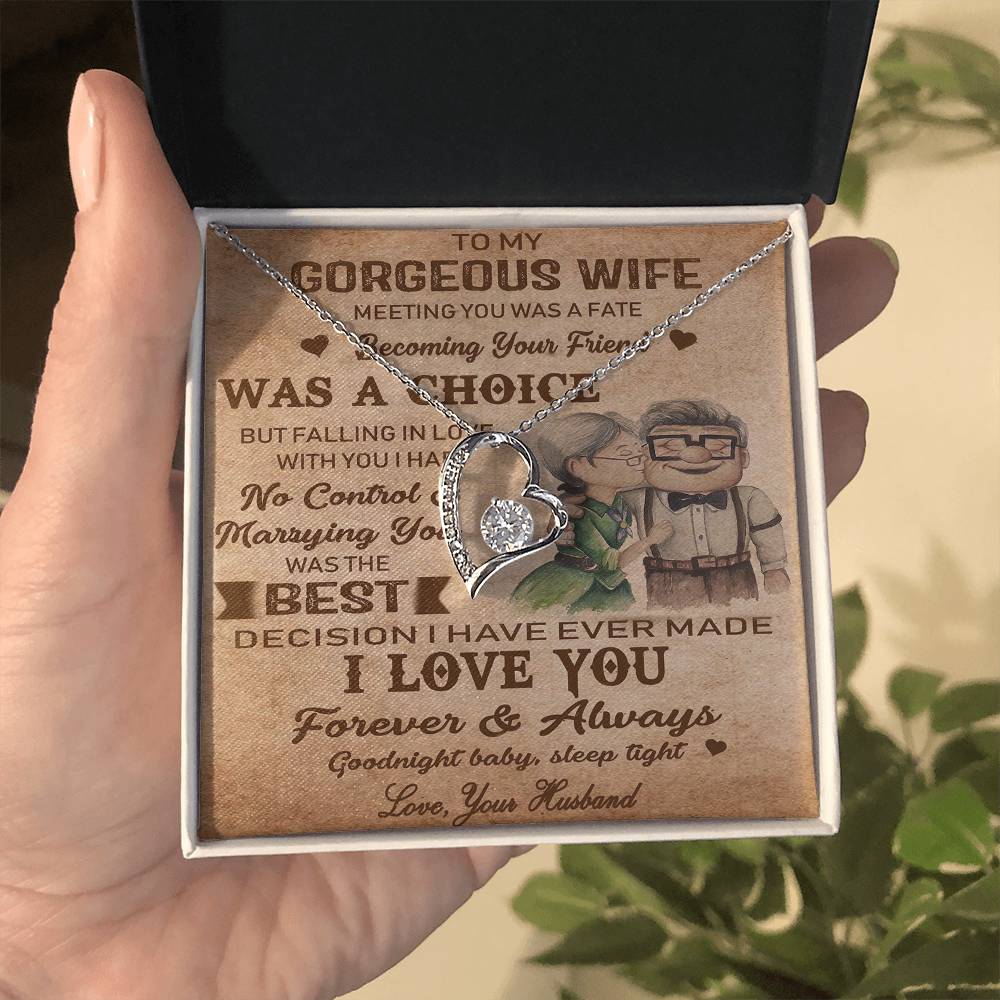 (X9D) TO MY WIFE-MEETING YOU WAS FATE-Carl & Ellie-UP - Family- NECKKLACE