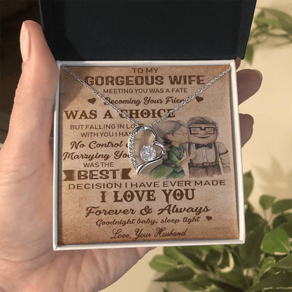 (X9D) TO MY WIFE-MEETING YOU WAS FATE-Carl & Ellie-UP - Family- NECKKLACE