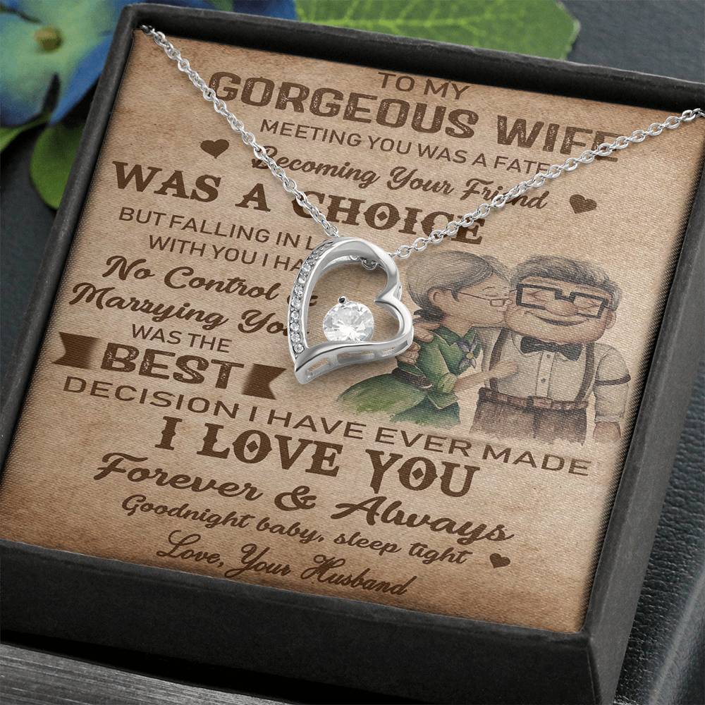 (X9D) TO MY WIFE-MEETING YOU WAS FATE-Carl & Ellie-UP - Family- NECKKLACE