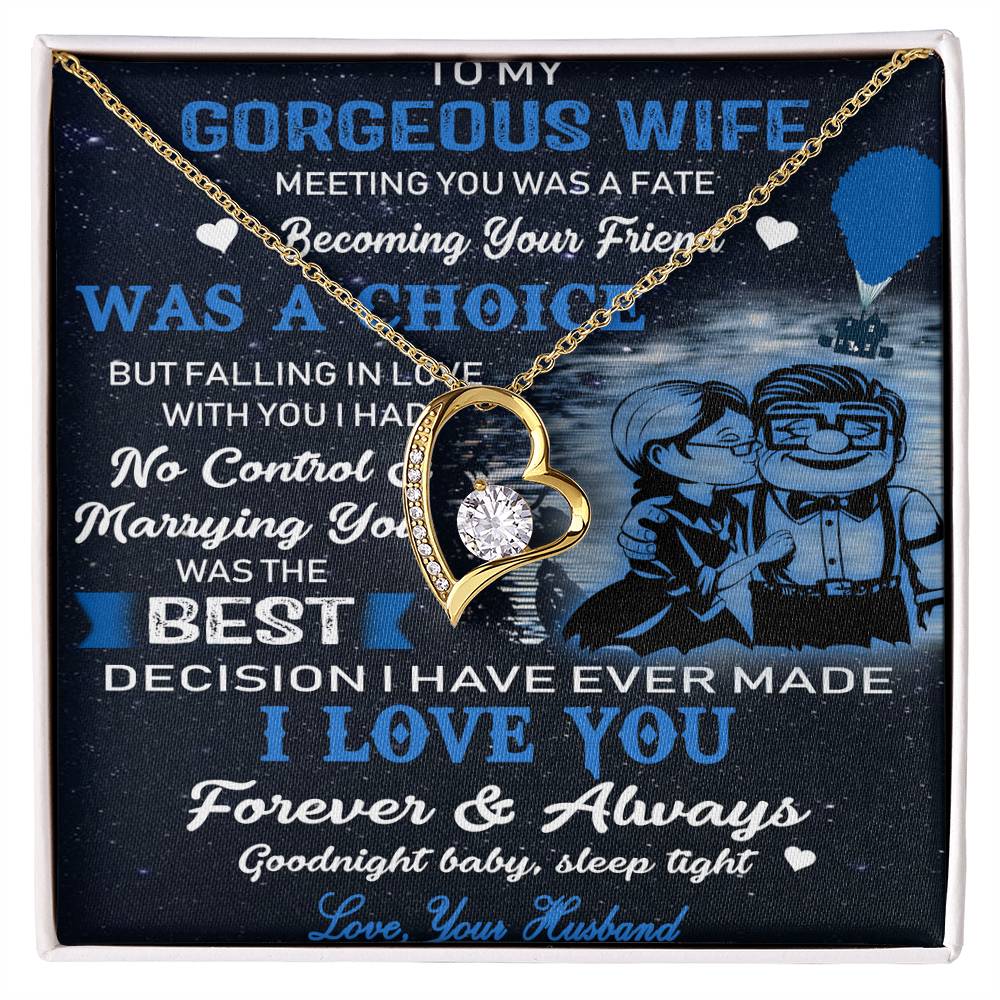 (X9b)Carl & Ellie-UP - TO MY WIFE-MEETING YOU WAS FATE - HEAR NECKLACE