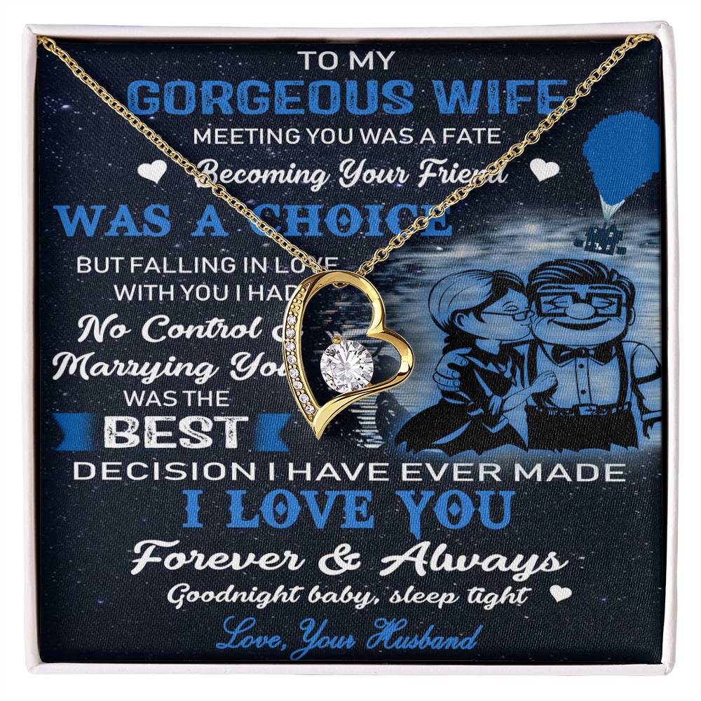 (X9c) TO MY WIFE-MEETING YOU WAS FATE-Carl & Ellie-UP - Family- NECKKLACE