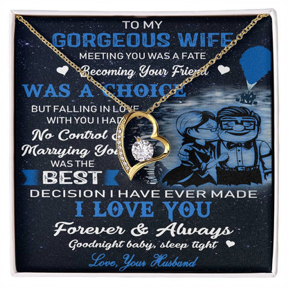 (X9c) TO MY WIFE-MEETING YOU WAS FATE-Carl & Ellie-UP - Family- NECKKLACE