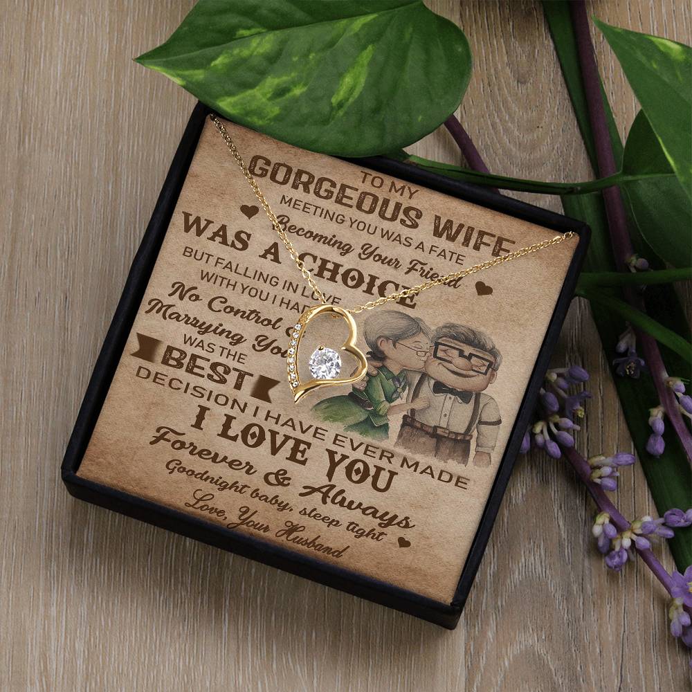 (X9D) TO MY WIFE-MEETING YOU WAS FATE-Carl & Ellie-UP - Family- NECKKLACE