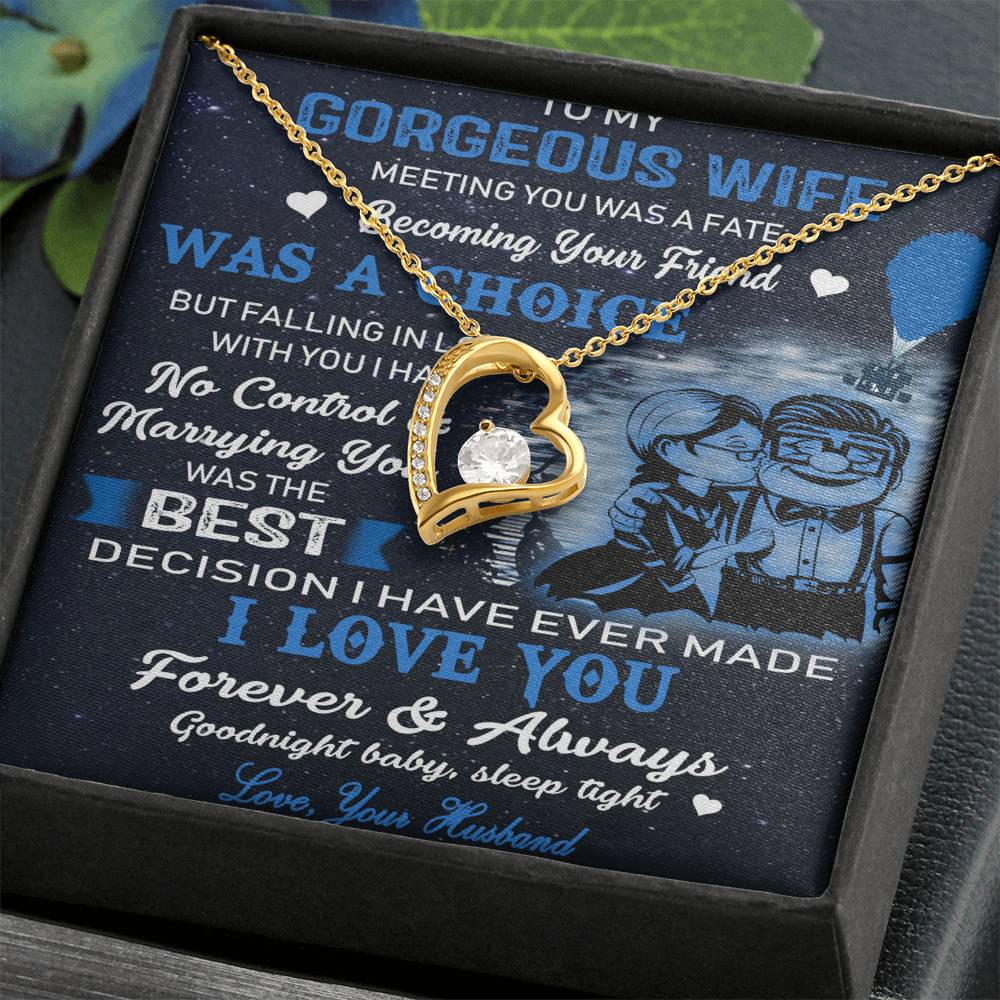 (X9b)Carl & Ellie-UP - TO MY WIFE-MEETING YOU WAS FATE - HEAR NECKLACE