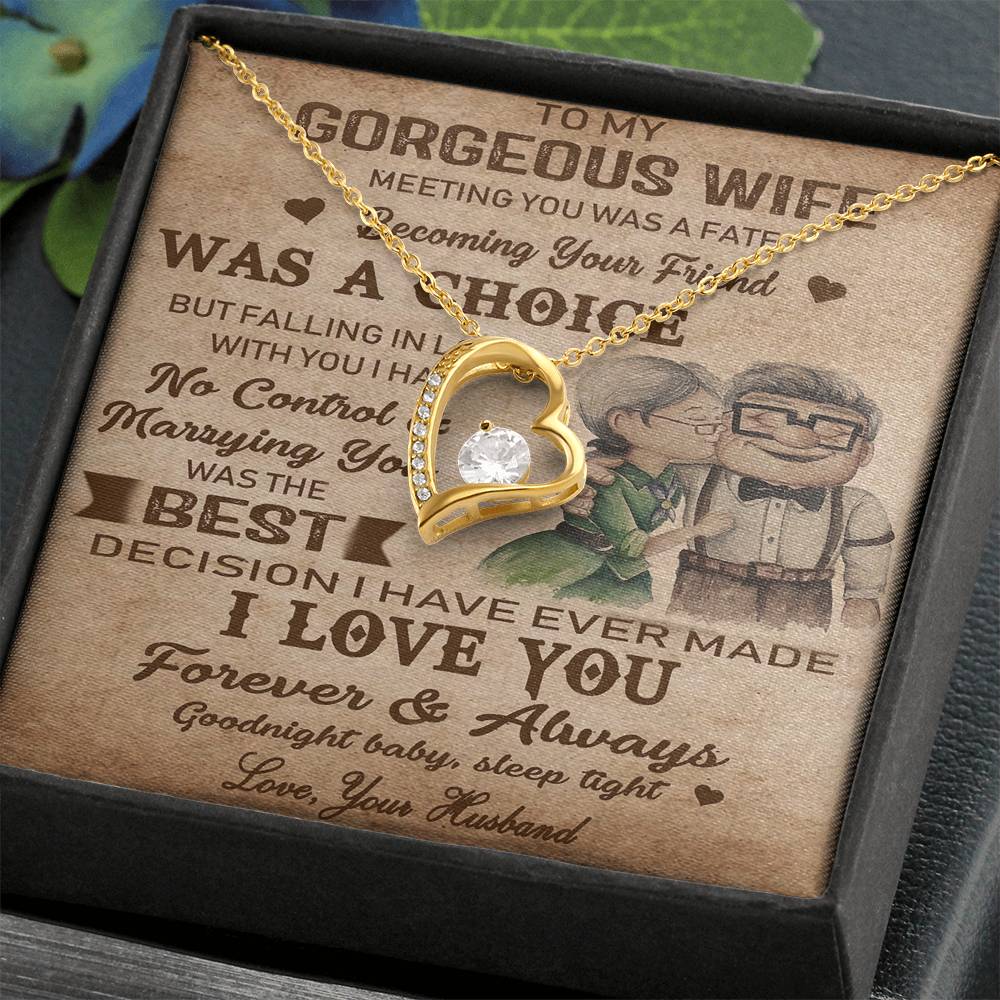 (X9D) TO MY WIFE-MEETING YOU WAS FATE-Carl & Ellie-UP - Family- NECKKLACE